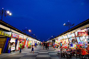 電子票證遊花蓮  單機感應好簡便