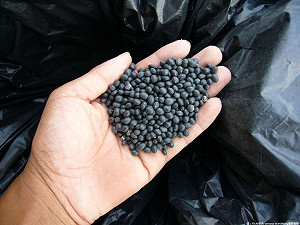 來去觀音吃黑豆  桃園小旅行GO！