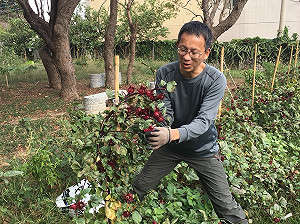 想在城市當農夫？ 快報名「環保農園」