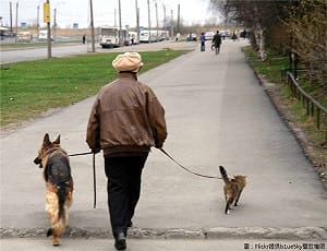 又冷了！東北季風增強  北台回復13度低溫