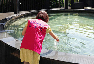 泡湯可以安心！中市衛生局抽驗溫泉水全數合格