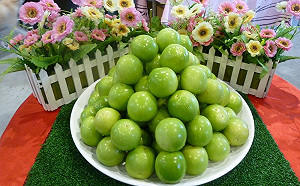 限時兩天！屏東高甜度蓮霧、蜜棗在台北