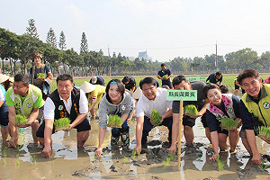 熱博彩稻插秧  卡哇伊Hello Kitty圖騰耀登稻田