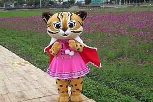 花博遭質疑未審議就發包 中市府 : 程序都合法