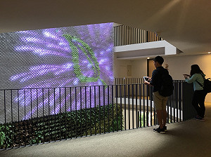 來台中看聖誕樹   感受濃濃耶誕味