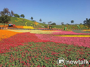 搶先看！山櫻花開的聲音台中花毯節週六夢幻登場