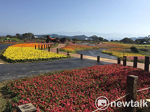 元旦連假花毯節超吸睛  免費接駁車最方便