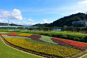 年底壓軸！台北道南河濱童趣花海歡樂綻放中