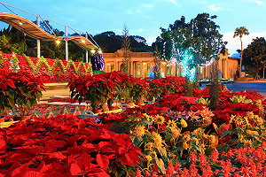自來水園區耶誕夜免費入園 聆聽「幸福交響夜」
