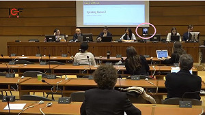 唐鳳奇招突圍 視訊直播在聯合國會議發言