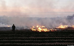 對抗空汙！環保署嚴查露天燃燒 抓到重罰