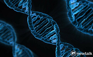 基因編輯技術有成果  遺傳性耳聾治療有望