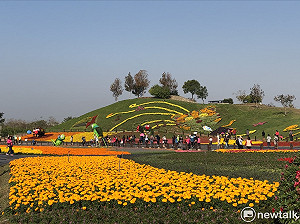 網傳花毯節展延係假的啦!也不再送花嘜擱來呀