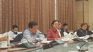 這邊懲罰那邊有賞! 盧麗安獲選中國台聯副會長