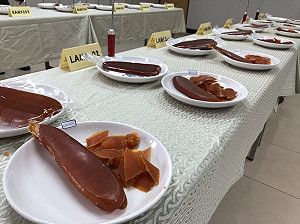 「黃金烏魚子」選拔賽 評審教你怎麼挑！