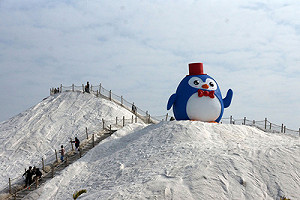 呆萌巨大公仔迎新春!台鹽打造了這隻