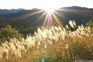 太陽公公是你！全台回溫早晚偏涼