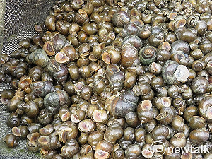 懷舊限定水產品成新寵!田螺石螺吃得到了
