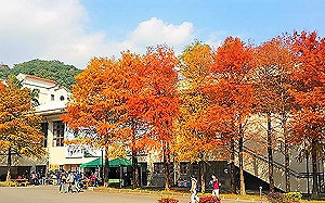 蘭陽技術學院財務健全  不受學生人數減少影響