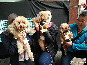 汪星人趣味賽  汪聲笑聲不斷