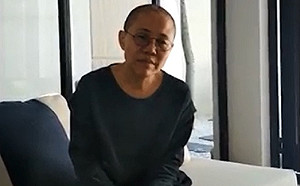 兩會在即  港區人大代表田北辰擬提案促結束軟禁劉霞