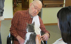 藍梅醋動物實驗成功 未來盼能抵抗癡呆症