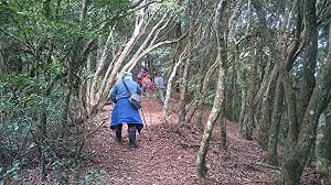 登山迷路不用怕  簡訊定位帶你下山