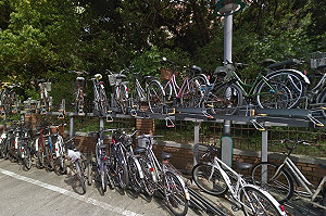 即日生效！北市自行車要收拖吊費100元