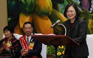 蔡英文：厚植文化力是政府堅持的方向