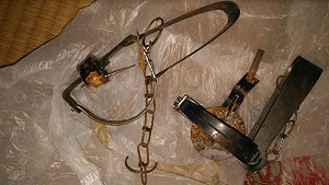 農場使用捕獸鋏屬違法 可處7萬5千元罰鍰