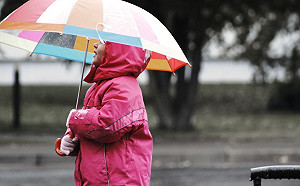 大雨＋低溫＋強風＋濃霧 全台22縣市發布天氣警報