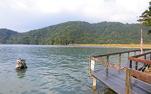 日月潭九蛙成水情指標 原來是誤會一場