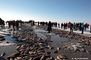 海洋暖化恐滅漁 影響數千萬人生計
