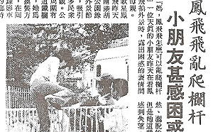 管仁健觀點》在《幸福路上》摔了一跤的鳳飛飛