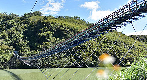 復興新地標誕生！新溪口吊橋成旅遊新亮點
