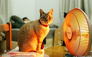 小心燙傷！冷天使用電暖器熱敷墊要注意這3件事