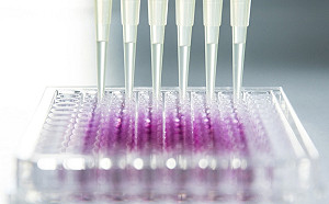 新創公司開發萬能流感疫苗 最快5年內推出