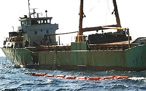 花蓮觀光生態新發展！港務局：收益可達千萬