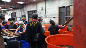 噁心食品抓不完  海參產自髒亂工廠