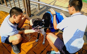 苗栗特教學校  透過動物保育啟發孩子生命關懷