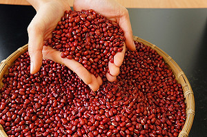 不只有海港、板條！來美濃與東港體驗採豆農趣