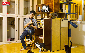 便便也有「錢」途！？他用貓糞成功種出香甜稻米