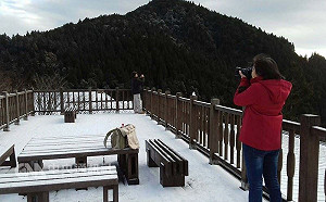 冷冷冷！寒流發威 宜蘭太平山再下雪