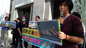 白海豚該怎麼辦！ 環團反風力電廠開發