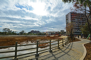 「社子埤塘生態公園」將完工  四季皆有植物景觀