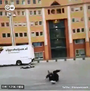 時速140km暴風狂吹荷比德  史基浦機場被掀屋頂