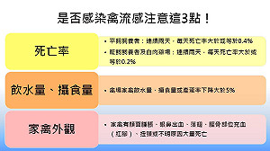 死亡率、外觀都是關鍵 是否禽流感注意這3點