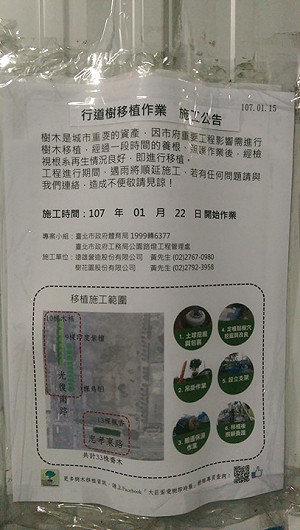 大巨蛋今日斷根移樹  護樹團體：柯文哲大騙子