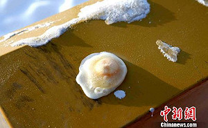 黑龍江零下43度  鐵皮凍蛋、泡麵冰川  只能看不能吃