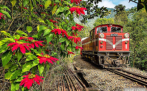 FUN春節》森鐵春節加18班次疏運 1/26網路可訂票